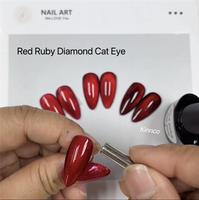Bouteille OEM 1 kg diamant rubis rouge Ensemble de vernis gel pour les yeux de chat 6 couleurs Vernis à ongles gel pour les yeux de chat Échantillon gratuit de gel de marque privée