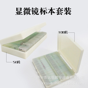 In stock: 50-slide boxed biological slides for <b>microscopes</b>. - Product Image 5