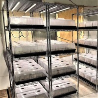 Plateaux de semis ventilés en plastique pour hydroponie, très demandés, pour pépinière et semis couverts