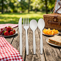 Ensemble de couverts jetables compostables CPLA 2026 – Couteau, fourchette et cuillère modernes, écologiques et biodégradables pour les voyages et les hôtels