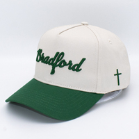 Gestructureerde Multi 3D Platte Geborduurde Logo Zomer Sport Pet Groothandel UV-bestendig 5 Panel Baseball Pet Katoenen Twill Dad Hat