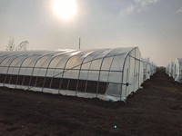 Serre tunnel agricole Shine-tech de petite taille en PE pour la culture hydroponique de tomates, à vendre