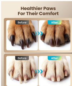 Amoladora de Uñas para Perros Oneisall, 6 Velocidades Ajustables, 360°, Venta al Por Mayor ° Luz LED 40db Indolora para Patas, Accesorios para Mascotas Pequeñas, Medianas y Grandes 2026 - Product Image 5