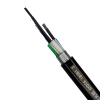Cables de comunicación de tendido subterráneo Cable de fibra óptica monomodo para exteriores blindado antiroedores GYFTA53