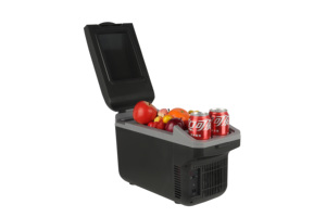 Meilleure vente accoudoir voiture réfrigérateur à vendre à bas <span class=keywords><strong>prix</strong></span> 8L 12v Portable voiture congélateur compresseur voiture réfrigérateur - Product Image 2