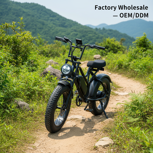 Vélo Électrique 250W 20 Pouces à Freins à Disque à Huile, 7 Vitesses, Lithium, Écran LCD, Moteur Arrière, Pneus Larges – Vente en Gros Direct Usine - Product Image 4