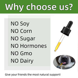 Aliment liquide immunitaire pour allergies chez les chiens, supplément en gouttes, soutient une digestion saine et protège le système immunitaire contre les allergies - Product Image 3