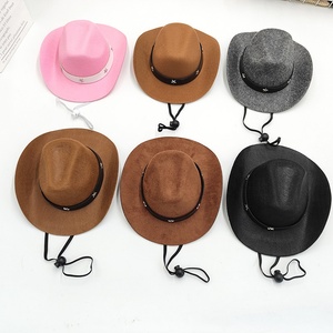 Chapeau de cowboy occidental Baboney avec motif de dessin animé pour fête d'anniversaire, protection solaire toutes saisons, mini chapeau en feutre pour chiens et chats - Product Image 1