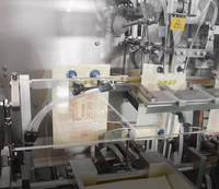 Machine d'emballage automatique de granulés alimentaires en plastique à double tête de remplissage et de scellage pour sachets préformés à fermeture éclair SG-180Z