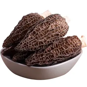 Terlaris jamur liar jual cepat jamur Morel liar jamur kering colmenillas precio frichetn