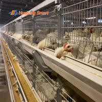 Système de contrôle centralisé automatique, cage à poulets de type H, gain de place, pour élevage de poulets moderne (nouvelle certification ISO CE)