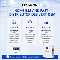 Batterie LFP Hysonn haute intensité 11,77 kWh 51,2 V 230 Ah murale pour stockage solaire domestique ESS et livraison rapide OEM