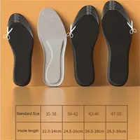 ヘブロンユニセックスリフトインソール家庭用インテリジェントヒーターインソール電気卸売靴Usb暖房靴ホット販売
