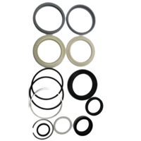 Suku Cadang Mesin Konstruksi Aftermarket, Suku Cadang Aerial Lift, Seal Kit 146060GT 146060 untuk Genie Boom Lift S-80 S-80X S-85