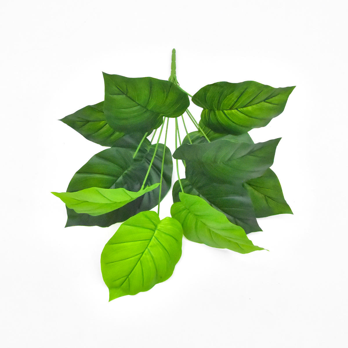 5 # สีเขียว12ใบ60ซม.