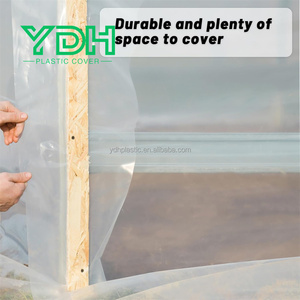 UV Resistant 6 Mil Thickness Blow Molding Plastic <strong>Greenhouse</strong> <strong>Cover</strong> <strong>Replacement</strong> Sheet for <strong>Greenhouses</strong> - Product Image 4