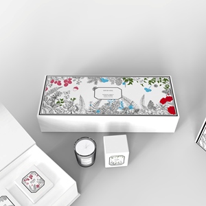 Nouveauté Ascendia Garden Secret, ensemble de cires parfumées, 30g, cire de soja naturelle, aromathérapie, coffret cadeau, parfum d'ambiance, décoration - Product Image 1