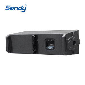 Акустическая система Sandy G10 Dual 10 дюймов, пассивная, линейный массив, профессиональные двойные 10-дюймовые линейные массивы для уличных сцен - Product Image 4