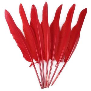 Puntatori d'oca <span class=keywords><strong>piume</strong></span> 25-30 cm <span class=keywords><strong>piume</strong></span> <span class=keywords><strong>piume</strong></span> Plumas <span class=keywords><strong>angelo</strong></span> pennacchio di Badminton copricapo costumi decorazione - Product Image 3