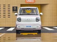 Bestune Pony Linglongma, Vehículo Eléctrico de Nueva Energía, 100 KM/H de Alta Velocidad, 4 Puertas, 4 Asientos, NEDC 222 km, Hecho en China, Color Rosa