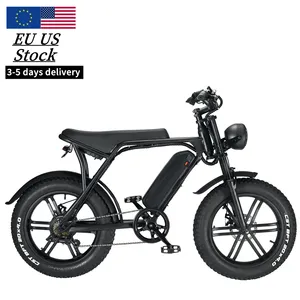 Cruiser Elektrische Fiets Eu Magazijn Elektrische Mountainbike Elektrische Fiets V8 1000W Bicicleta Voor Man Elektrische Fietsen Ebike