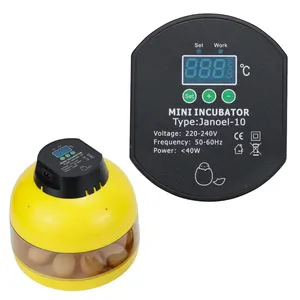 Incubateur manuel <span class=keywords><strong>Janoel</strong></span> <span class=keywords><strong>10</strong></span> œufs de poule <span class=keywords><strong>couveuse</strong></span> de volaille couveuses pour poulets canards oies oiseaux oeufs de caille oeufs d'oiseaux - Product Image 1
