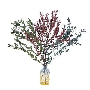 100% naturel conservé tiges d'<span class=keywords><strong>eucalyptus</strong></span> séchées Bundle pour noël aromathérapie SPA mariage douche décor préservé noël - Product Image 6