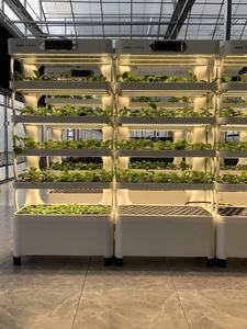 LED Light Hydroponic Garden Systems Indoor <b>Vegetable</b> Plant Growing with Plastic Material for Agriculture - Product Image 2