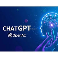 GPT 5.0 Plus AI Chat 24/7 电脑设备官方2个月试用帐户 正版软件 Linux Android 操作系统 服务器应用程序