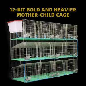 Gübre tepsisi ekonomik ucuz seçeneği ile yeni ticari tavşan yetiştiriciliği galvanizli kafesleri - Product Image 5