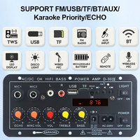 VIRE 12V 24V Araç Amfi Kartı 30W Şarj Edilebilir Mini Amfi Alıcısı Dış Mekan Subwoofer Güç Amplifikatörü Modülü