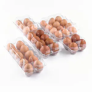 Wholesale Chicken Egg Holder 12 Holes Clamshell Chicken Egg Tray Disposable Plastic Transparent Egg Tray