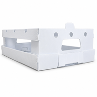 Boîte en plastique ondulé PP pour fruits et légumes, taille personnalisée avec trous de ventilation pour le transport de produits frais