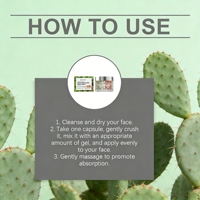 Produits de soin naturels en marque blanche : Crème hydratante pour le visage en capsules de cactus, hydratation intense, raffermissante