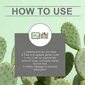 Productos para el Cuidado de la Piel Naturales de Marca Privada, Crema <span class=keywords><strong>Facial</strong></span> Hidratante de Cactus en Cápsulas, Hidratación Profunda, Crema <span class=keywords><strong>Facial</strong></span> Reafirmante - Product Image 6