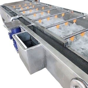 Usine directement industrie varech agrumes long haricot poivre vert lavage nettoyage laveuse Nori fruits légumes Machine à laver fournisseur - Product Image 6