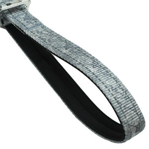 Eco-Friendly Heavy Duty Nylon <b>Dog</b> <b>Leash</b> Anti-Pull Feature Fashion Style Custom Logo Colors OEM/ODM Available Multi-Breed Sizes - Product Image 4