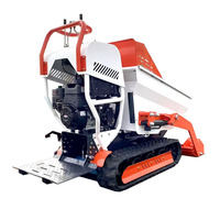 EPA Motor 6,5 PS Mini-Kettenkipper Chinesischer Selbstladender Raupenfahrzeug 500 kg Gartenlift-Muldenkipper zu Verkaufen