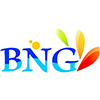 Jiangmen Bng Industrial Co., Ltd. logo