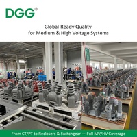 Supresor de Sobretensiones Personalizado DGG, Clase de Descarga Específica, Supresor de Rayos para Esquemas de Protección de Redes Eléctricas Industriales a Medida