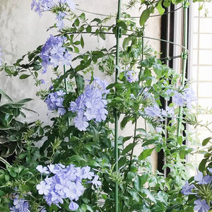 Tuinieren Benodigdheden Bloem Decoratieve Trellis Plant Ondersteuning Klimrek Plant Frame Huis Multi-Functioneel Duurzaam Metaal - Product Image 6