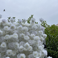 Mur de fleurs artificielles 5D en plastique rouge moderne, écologique et durable, avec effets lumineux pour mariages en extérieur
