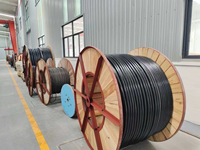Industrielles Niederspannungs-XLPE-Kabel mit PVC-Ummantelung, Hochflexibles YJV-Modell 3*10mm, 99,9% Reinkupfer-Konstruktion