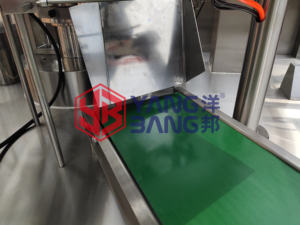 YB-210 Machine d'emballage de chips de fraise de banane séchée et de fraise de sac pré-fabriqué multifonction entièrement automatique - Product Image 6