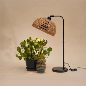 Lámpara de paisaje en miniatura de metal de espectro completo, de alta luminosidad y bajo consumo, moderna, ecológica, adecuada para macetas de interior. - Product Image 1