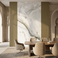 Panneau mural en PVC de luxe, feuille de marbre UV, panneau pour imprimante UV