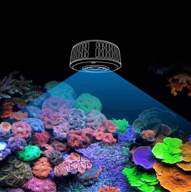 maxspect ethereal infinite e8 230: Best LED Aquarium Light