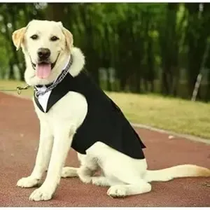 Disfraz para Perro Grande, Desmontable, <span class=keywords><strong>de</strong></span> Dos Piezas, Traje <span class=keywords><strong>de</strong></span> Boda para Perro, Ropa Negra para Perro, Vestido para Otoño, Productos para Mascotas <span class=keywords><strong>de</strong></span> Razas Grandes - Product Image 3