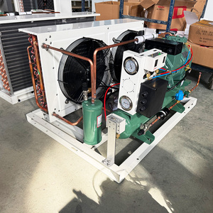 Unité de condensation à compresseur refroidi par air avec <span class=keywords><strong>moteur</strong></span> à économie d'énergie pour chambres froides et congélateurs - Product Image 2