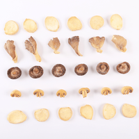 Groothandel Vf Mixed Crisp Shiitake & Agaricus Albus Champignons Bulk Vacuüm Gebakken Fruit & Plantaardige Grondstoffen Zoute Smaak